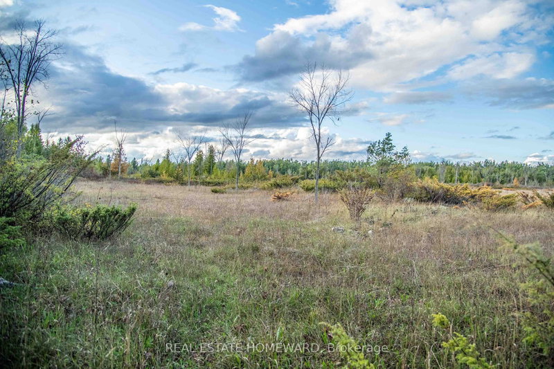 Lot 254 McGuire Beach Rd, Kawartha Lakes, K0M 2B0 | Image 3