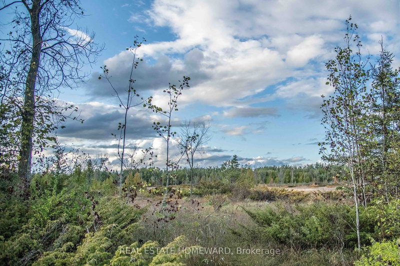 Lot 256 McGuire Beach Rd, Kawartha Lakes, K0M 2B0 | Image 3