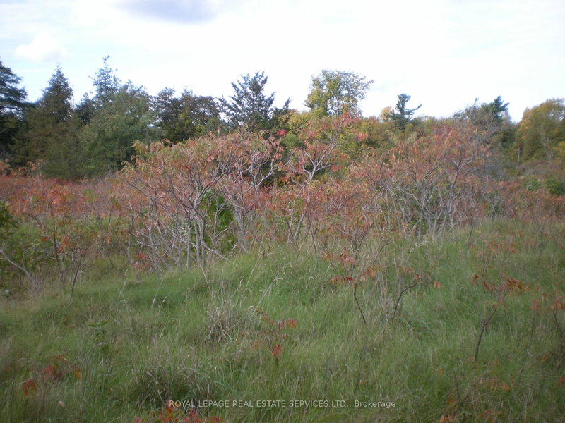 Lt 27 Pts 2&3 County Road 10 photo 5
