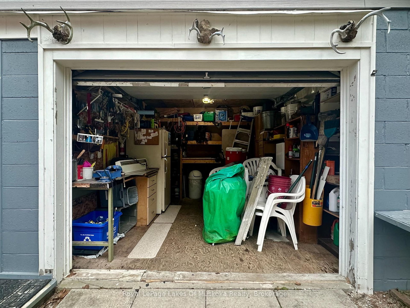 Listing Image 21