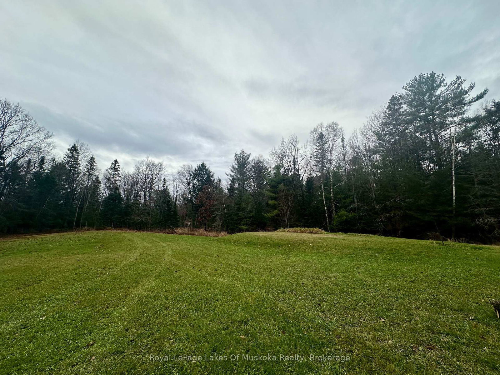 Listing Image 24
