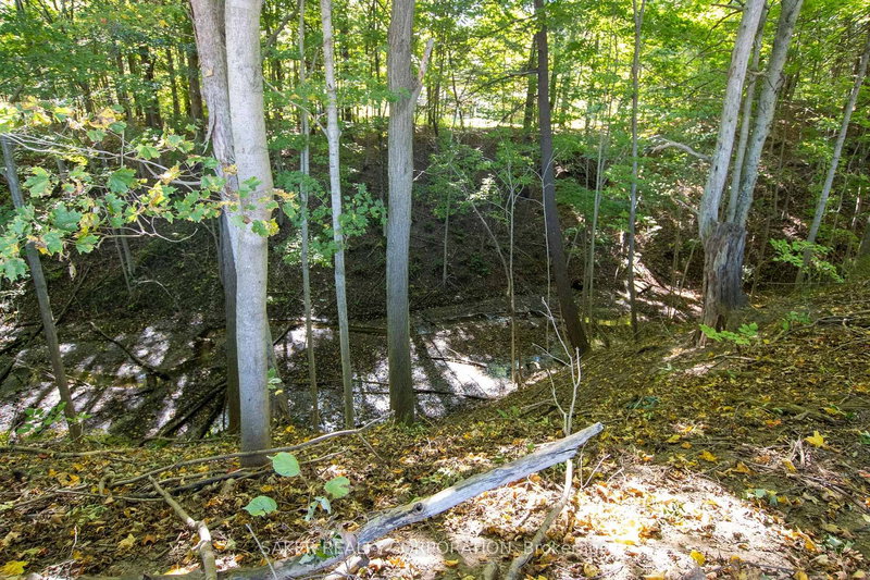 22560 Troops Rd, Strathroy-Caradoc, N0L 1W0 | Image 2