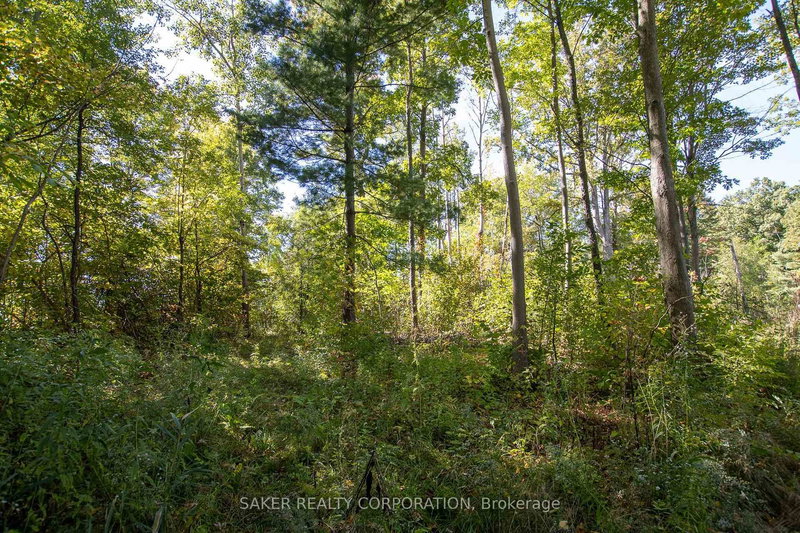 22480 Troops Rd, Strathroy-Caradoc, N0L 1W0 | Image 3