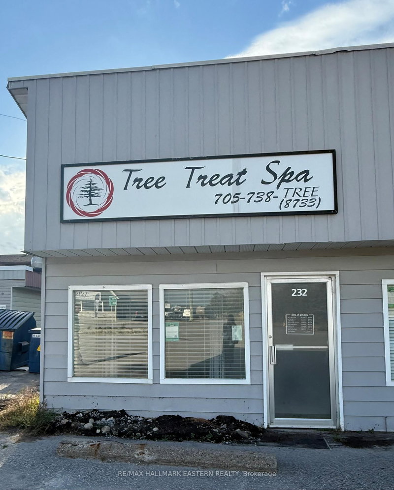 232 Main St, Kawartha Lakes, K0M 1A0 | Image 2