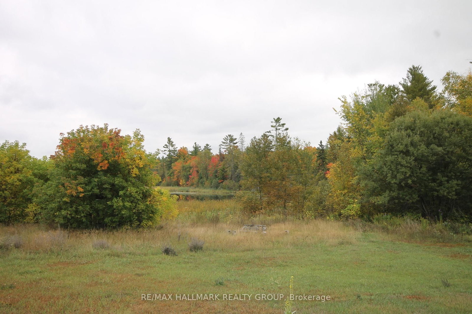 Listing Image 44