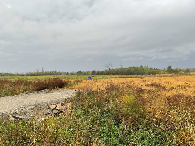 226 Archie Crain Drive