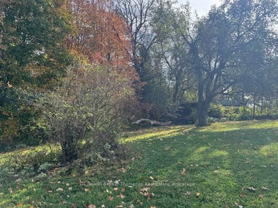 78 James Street East, Burk's Falls, Ontario image-0-3