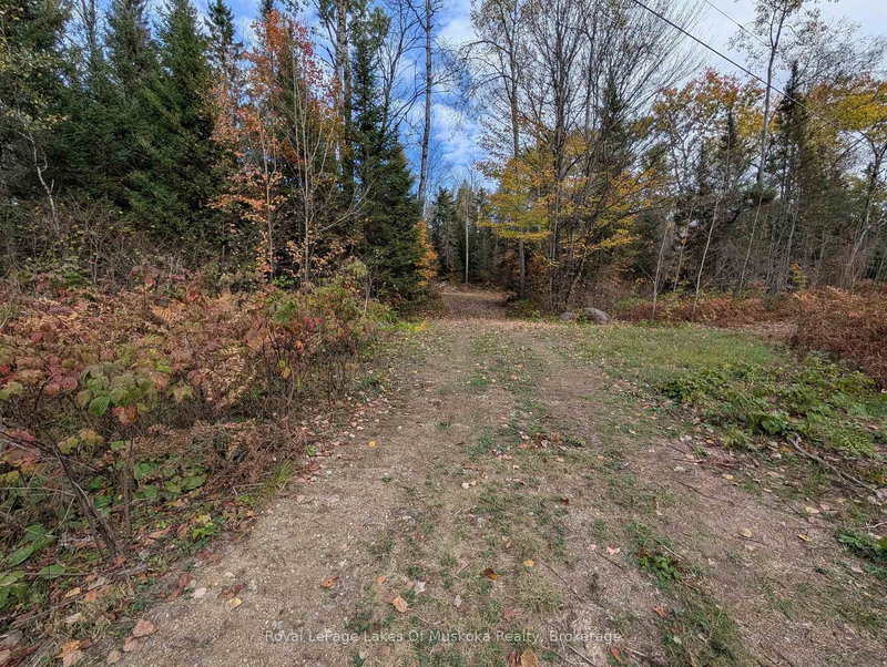 0 Forest Lake Rd, Joly, P0A 1X0 | Image 2