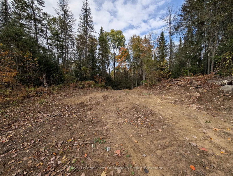 0 Forest Lake Rd, Joly, P0A 1X0 | Image 3