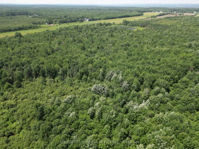 00 Concession 4 Road • Alfred and Plantagenet, ON photo 6