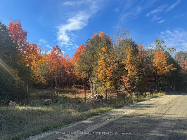 Lot 2 Vansickle Road S N