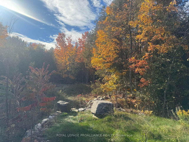 Lot 2 Vansickle Road S N