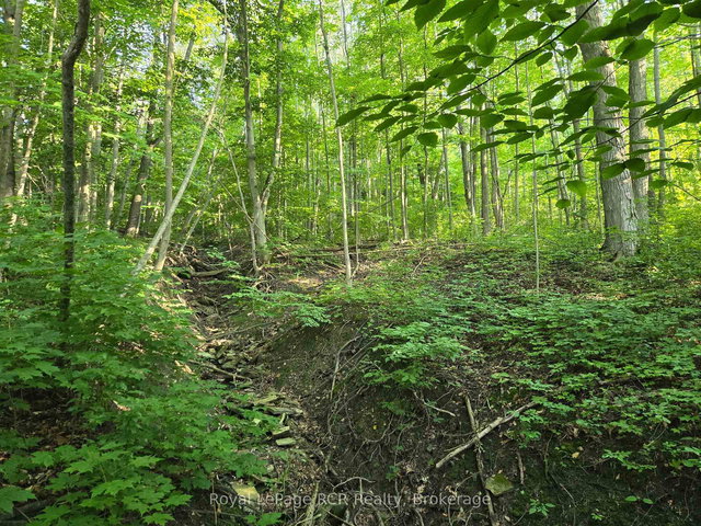 130 Old Highway 26 Highway