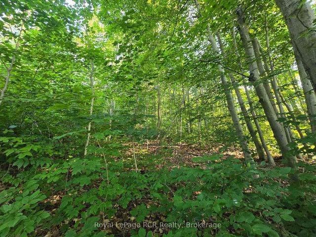 126 Old Highway 26 Highway