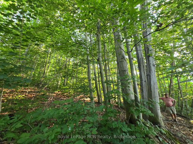 126 Old Highway 26 Highway