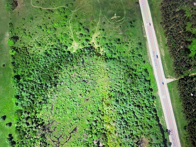 793560 124 grey highlands Road