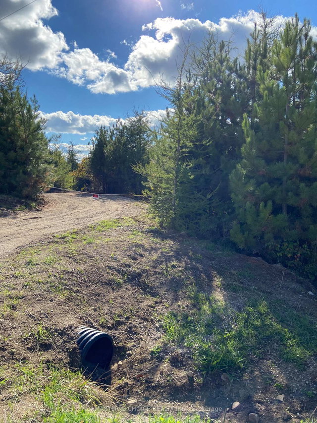 793560 124 grey highlands Road