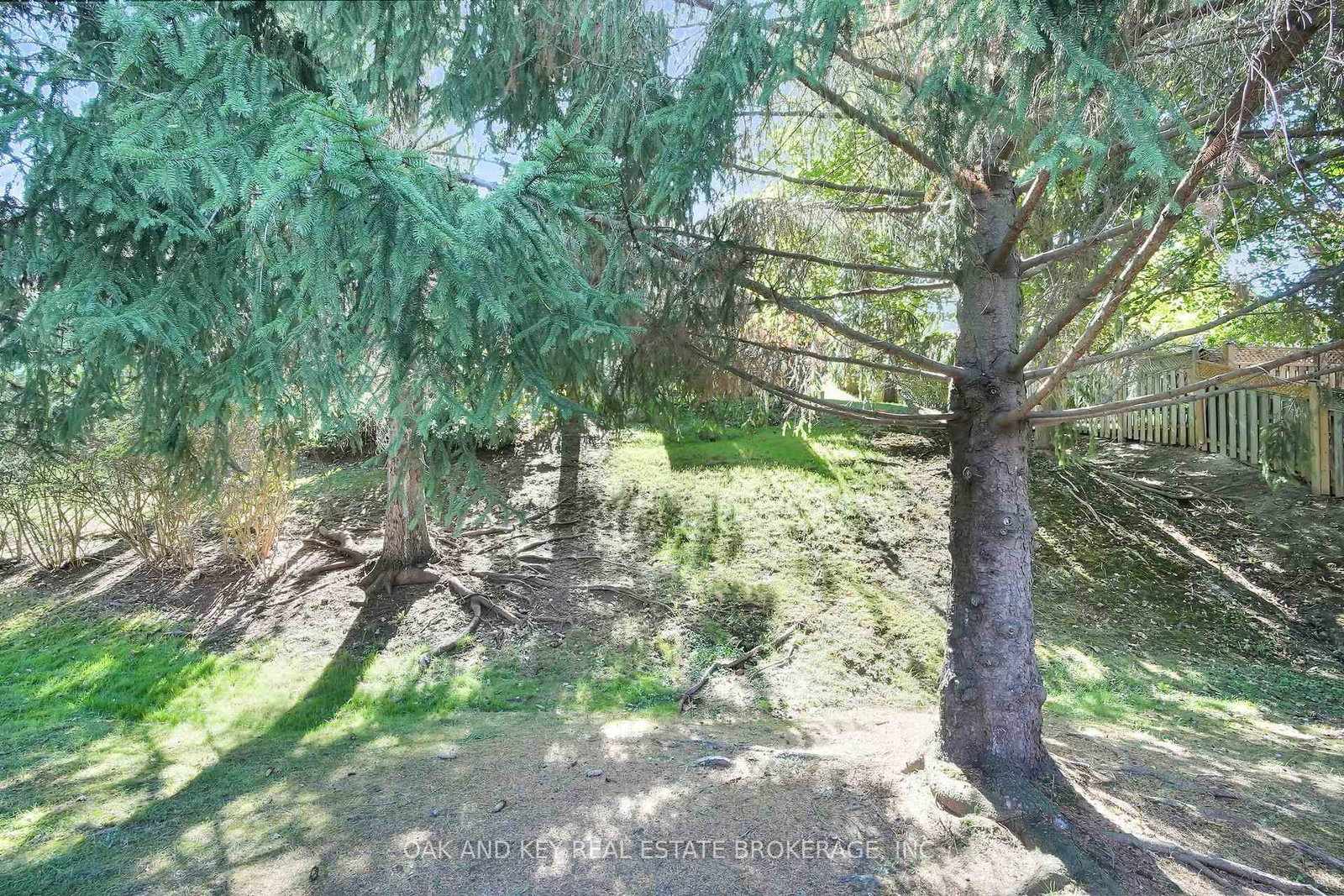 38 Quinella Place - Photo 45