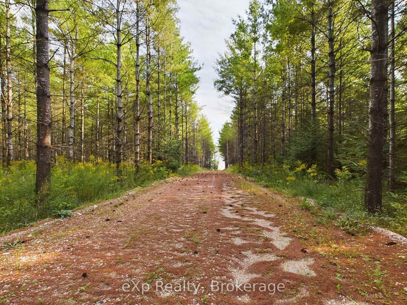 502265 Concession 10 NDR Concession, West Grey, N0G 1S0 | Image 2