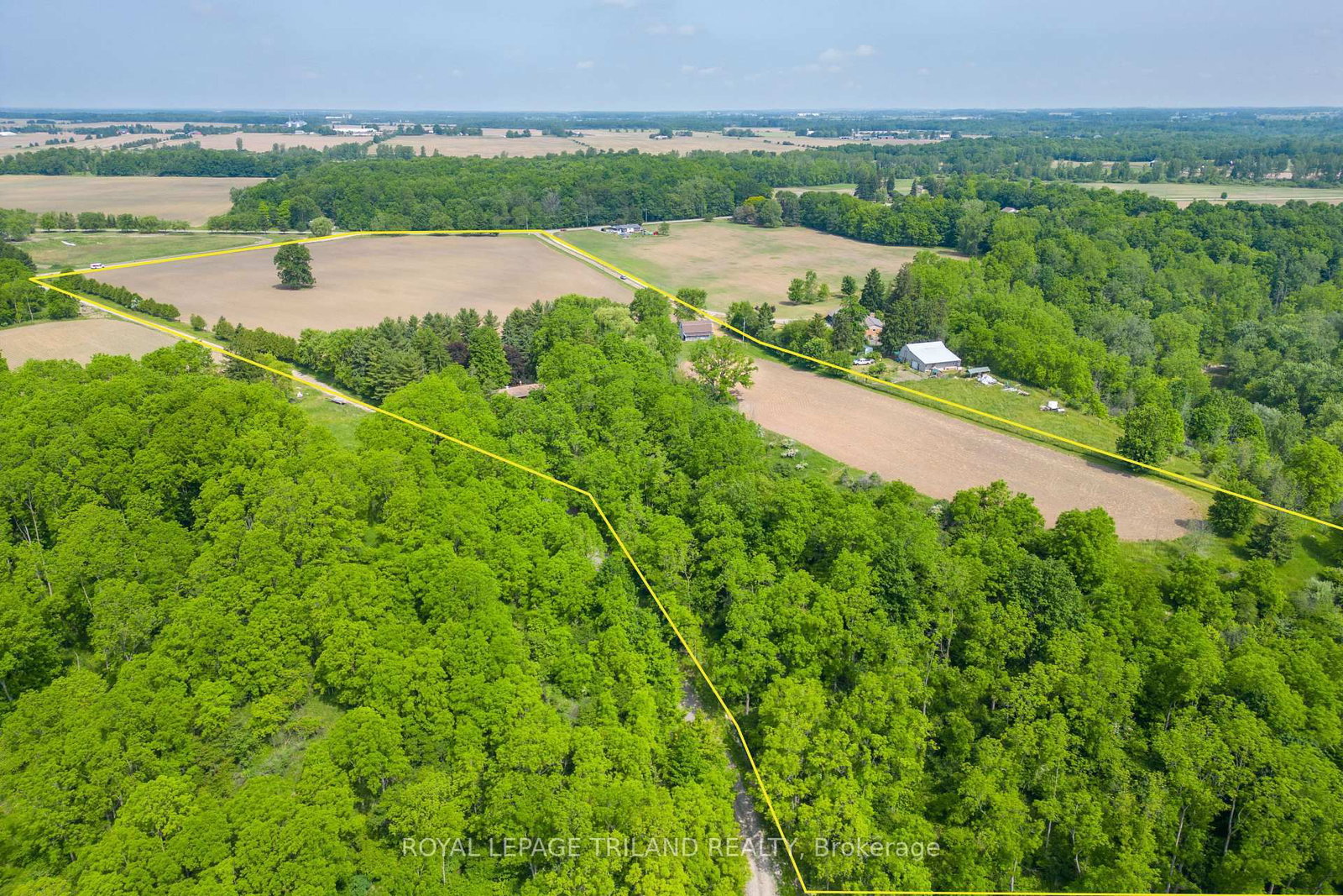 Listing Image 10