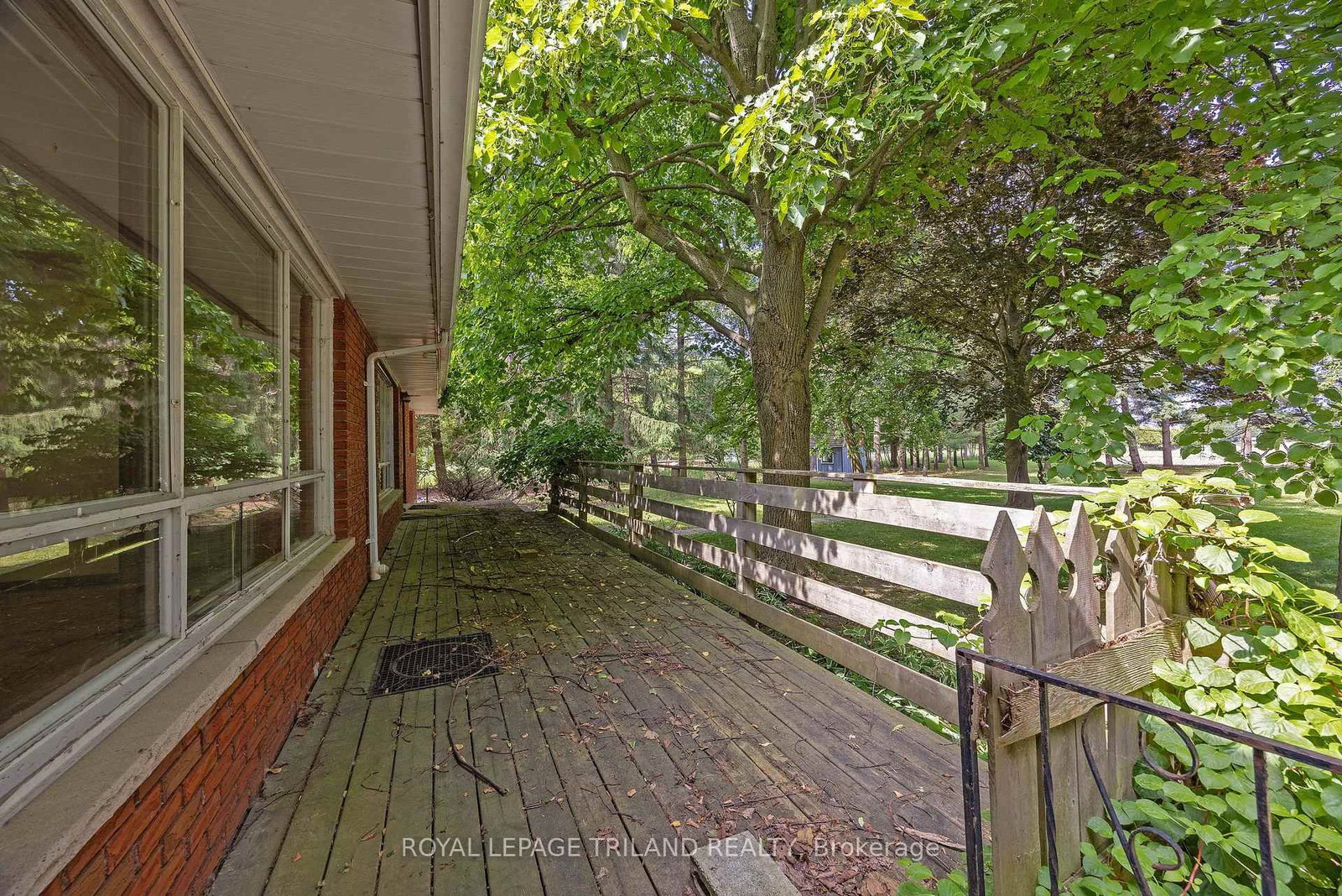 Listing Image 19
