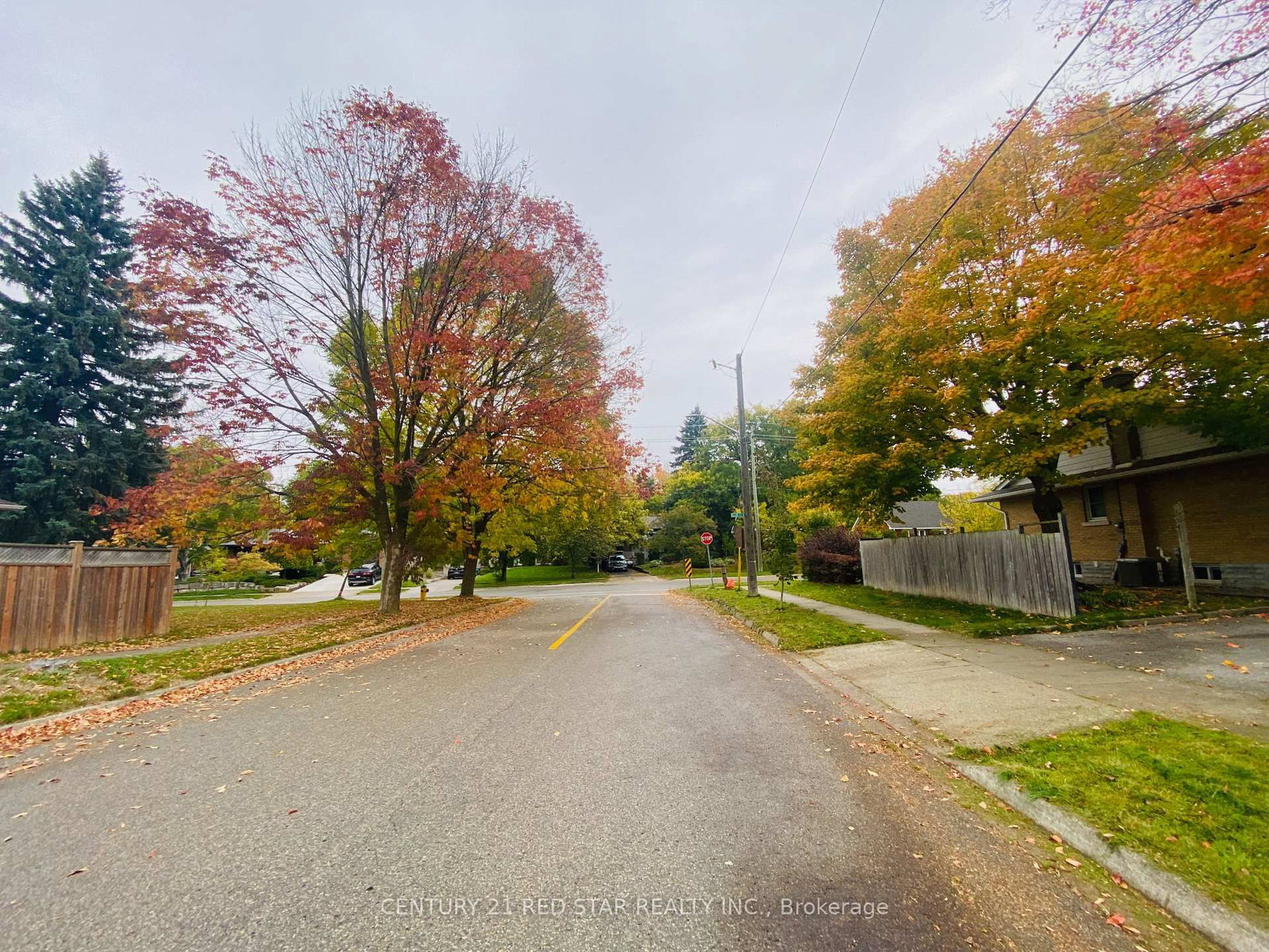Listing Image 45
