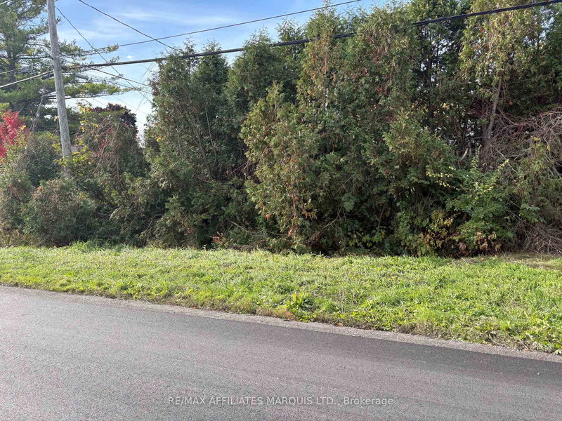 5361 Woodland Dr N, South Stormont, K0C 1M0 | Image 3