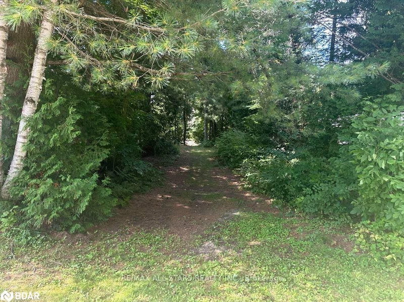 LOT 45 River Rd, Kawartha Lakes, K0M 1N0 | Image 2