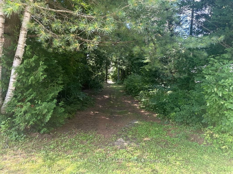 LOT 46 River Rd, Kawartha Lakes, K0M 1N0 | Image 3