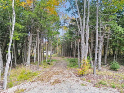 88 Lake Vision Road — photo 5