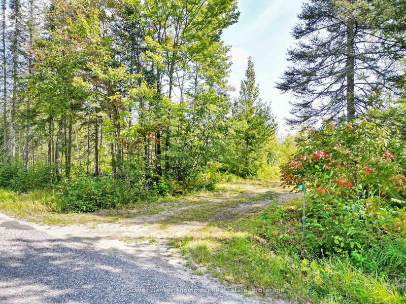 315 Scarlett Rd, Machar, P0A 1X0 | Image 3