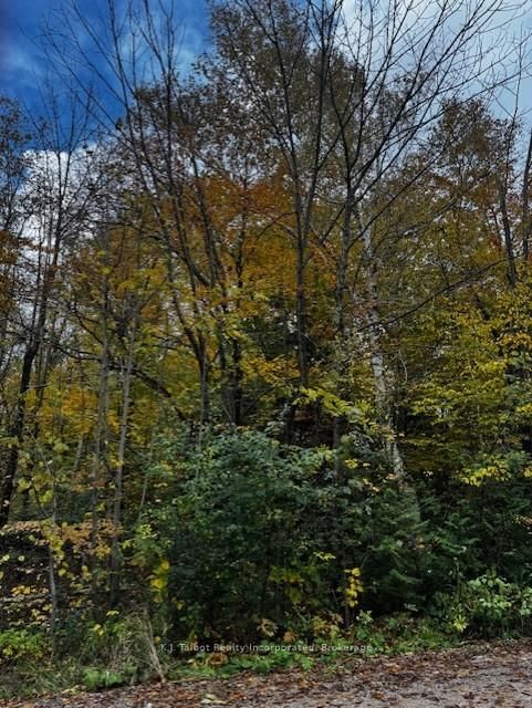 78178 Lavrangue Drive E