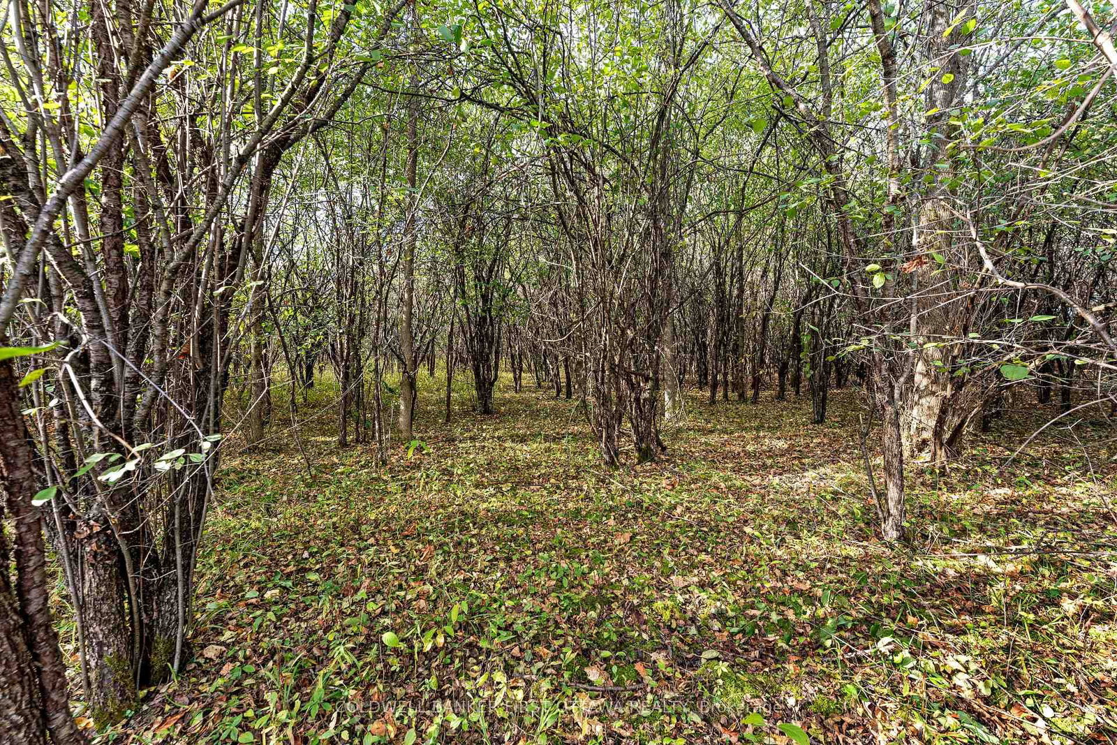 Listing Image 24