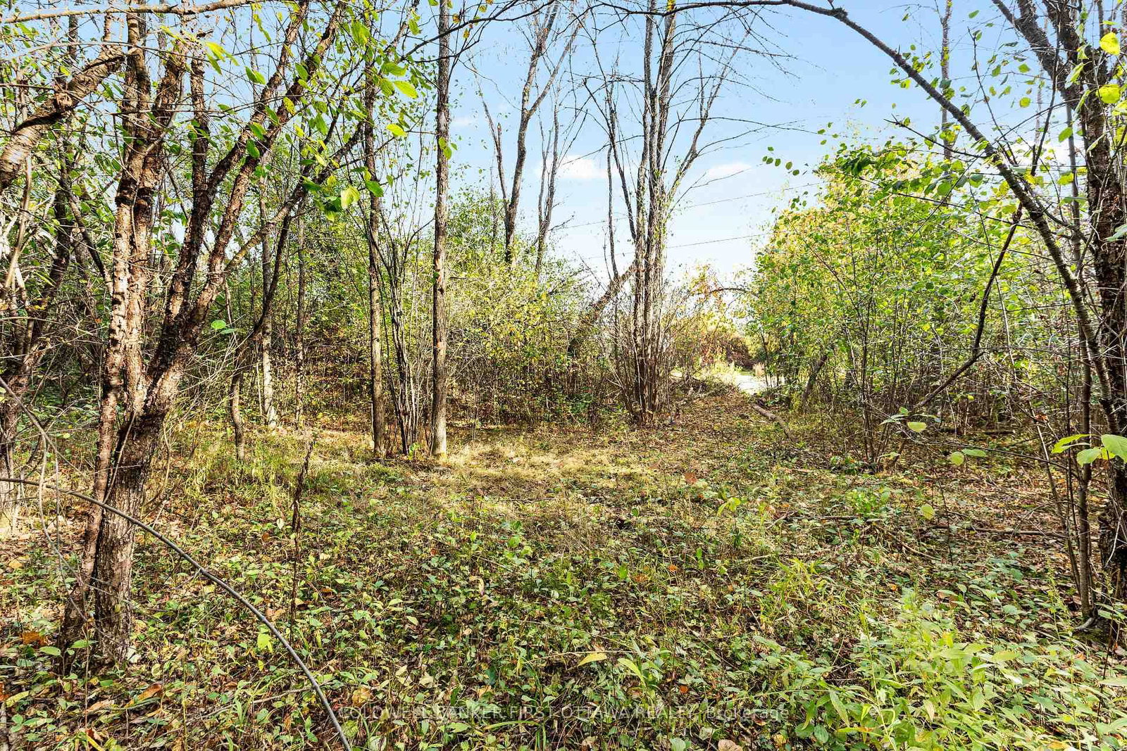 Listing Image 25