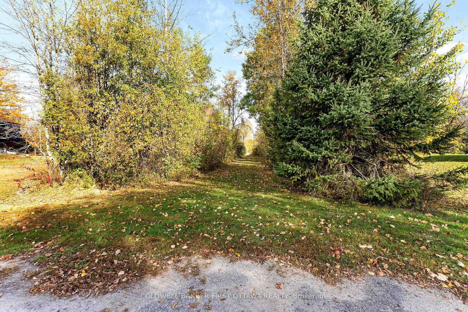 Listing Image 26