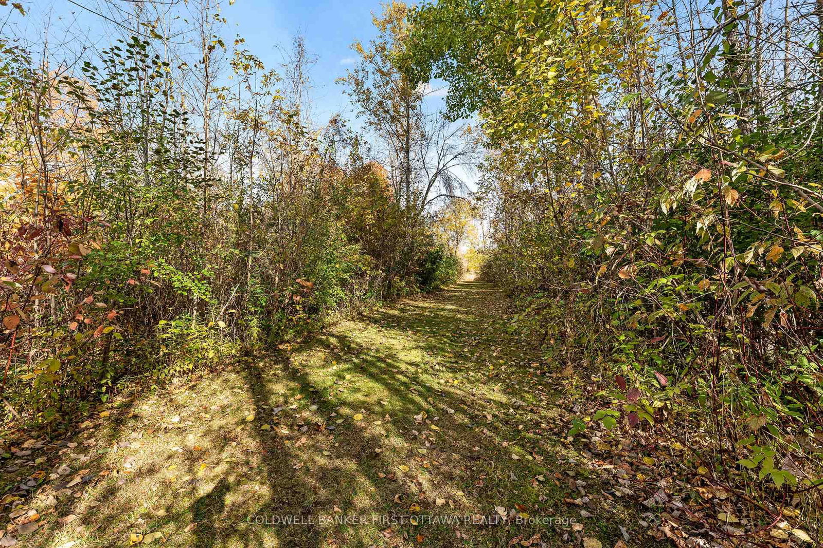 Listing Image 27
