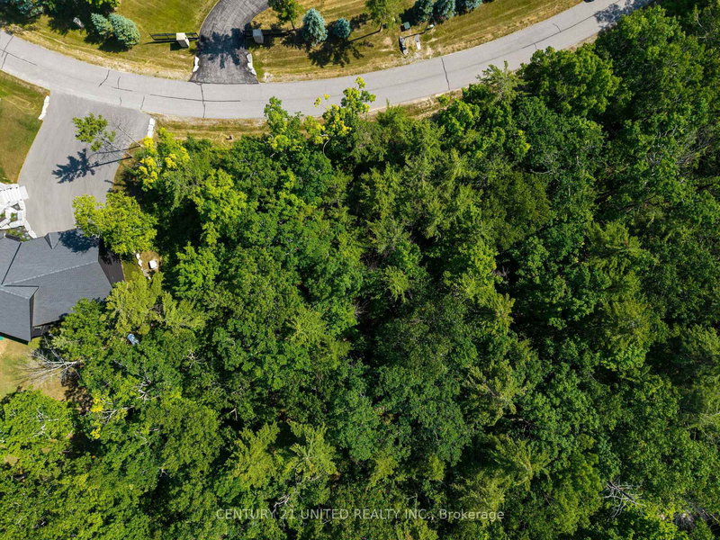 LOT 33 Fire Route 70B, Trent Lakes, K0L 1J0 | Image 3