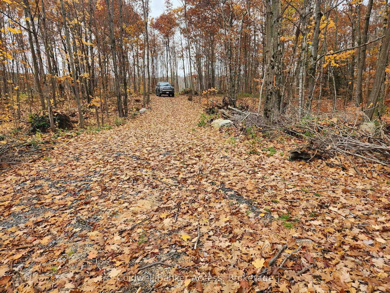 52 Hawkins Point Rd, Georgian Bay, P0C 1H0 | Image 3