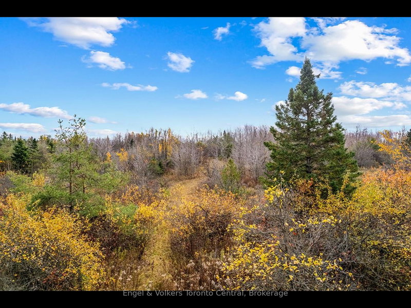 429560 8th B Concession, Grey Highlands, N0C 1M0 | Image 3