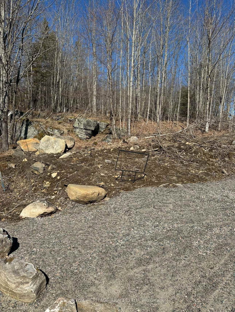 61 Marluc Ave, Minden Hills, K0M 2K0 | Image 2