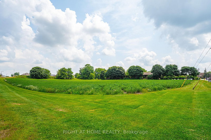 20 Part Lot Con 1, Minto, N0G 2P0 | Image 2