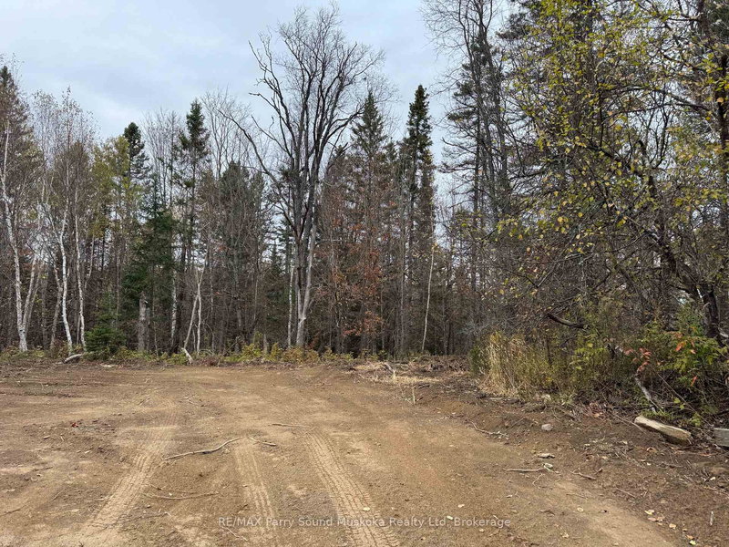0-2 Bennett Rd, Parry Sound Remote Area, P0H 1J0 | Image 2