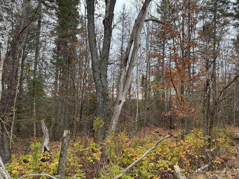 0-2 Bennett Rd, Parry Sound Remote Area, P0H 1J0 | Image 3
