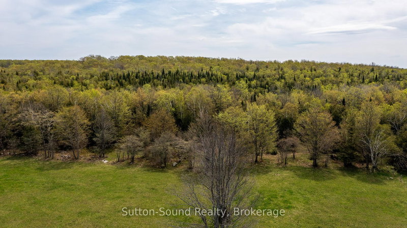 502054 GREY RD 1 999 Rd, Georgian Bluffs, N0H 2T0 | Image 3