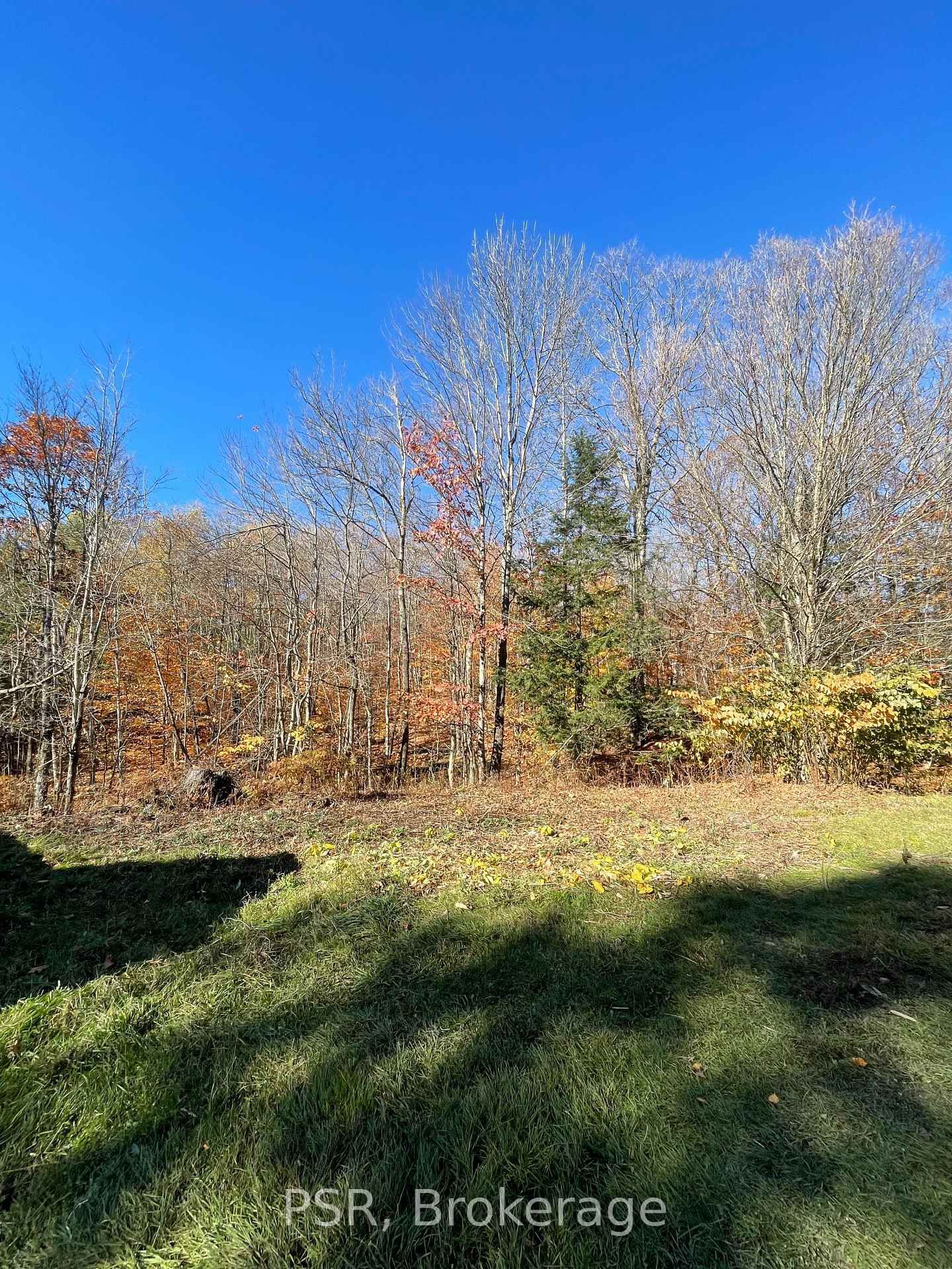 Listing Image 37