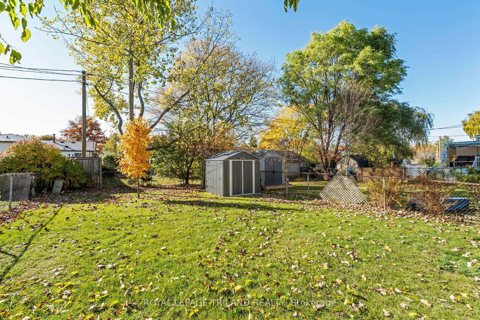 Listing Image 31