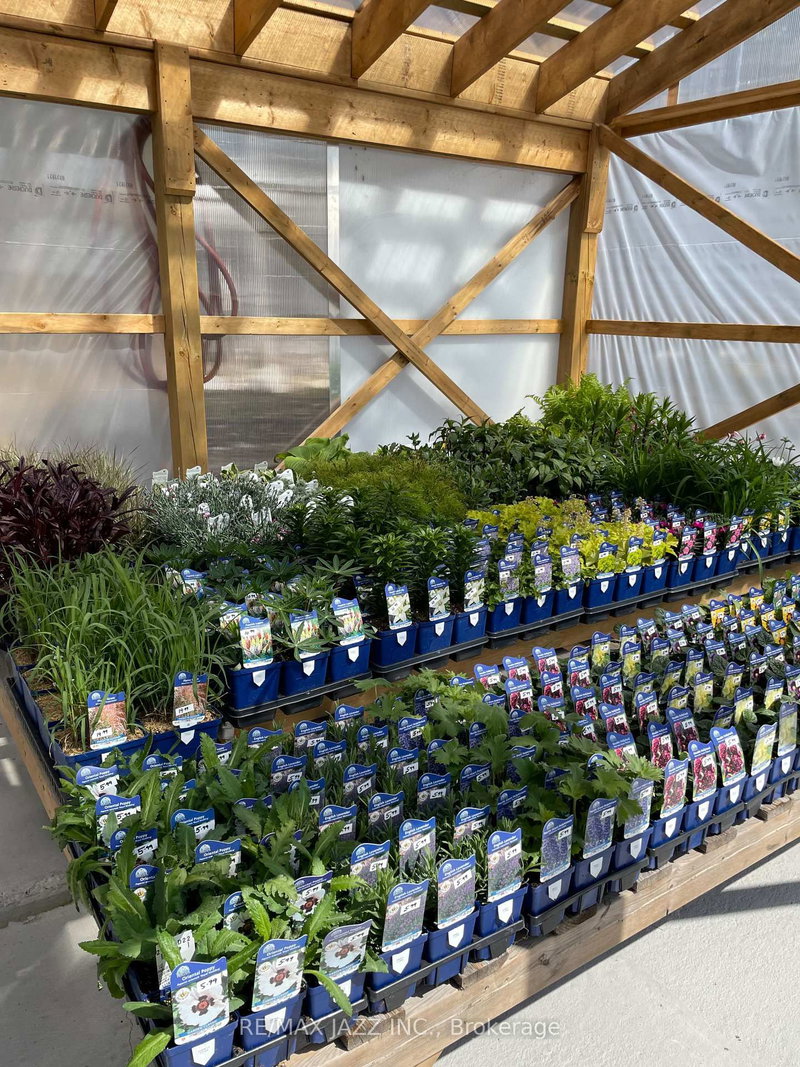 19 Ledge Rd, Trent Lakes, K0M 1A0 | Image 2