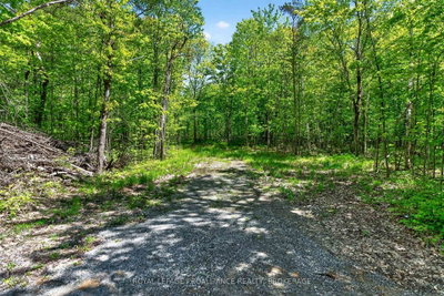 Vacant Land for sale at PT LTS 12 & 13 Devil Lake Road, Westport, Ontario, K0G 1X0 - Frontenac South - MLS: X12499646