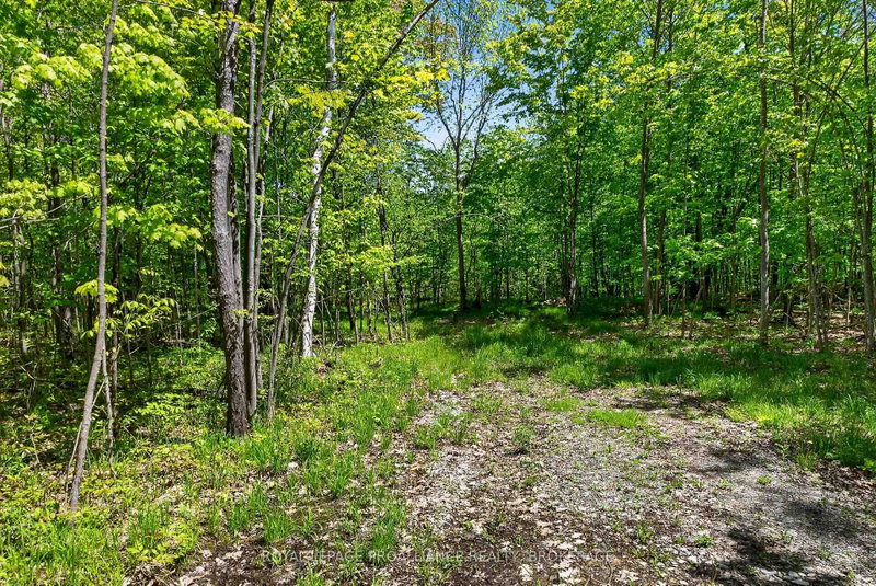 PT LTS 12 & 13 Devil Lake Road