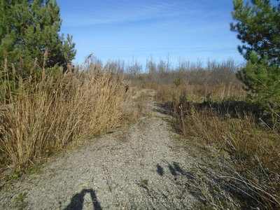 49 Rideau Avenue North, Smiths Falls, Ontario image-0-2